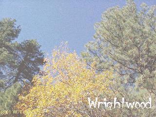 fall