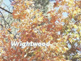 fall