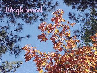 fall
