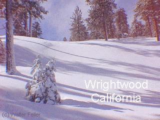winter