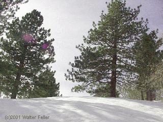 snowshoe hike