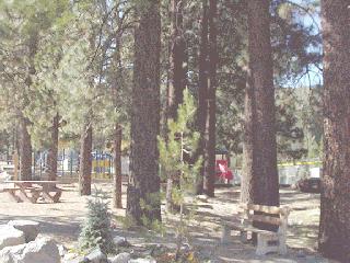 Wrightwood Village Park